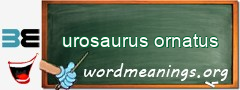 WordMeaning blackboard for urosaurus ornatus